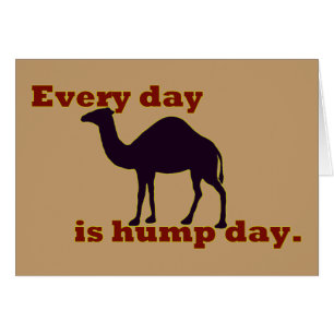 Camel "Every Day is Hump Day"