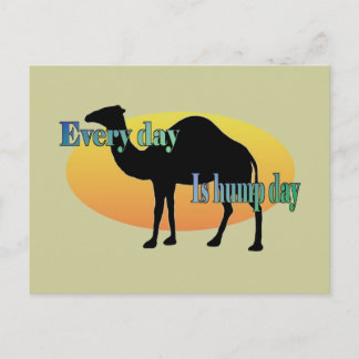 Camel - Every Day is Hump Day Postcard
