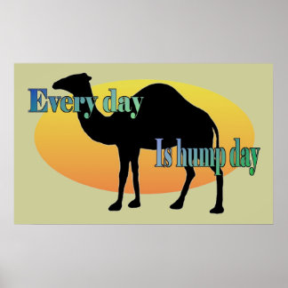 Camel - Every Day is Hump Day Poster