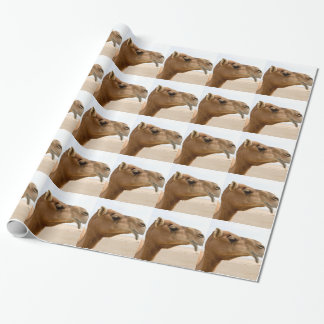 Camel face wrapping paper