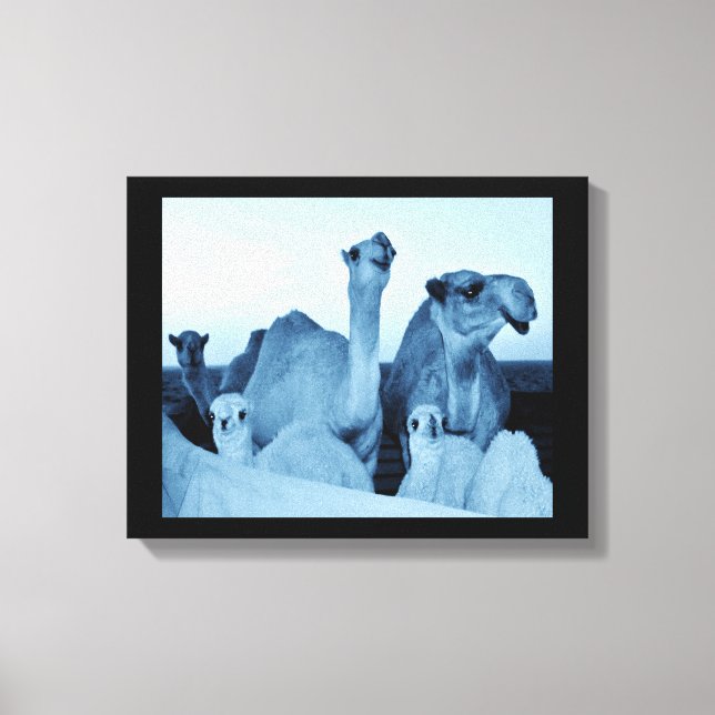 Camel Family Canvas Print (Front)