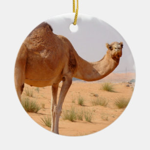Camel for Arabs Ornament