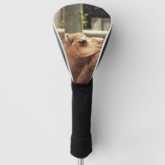 Camel Golf Head Cover (Front)