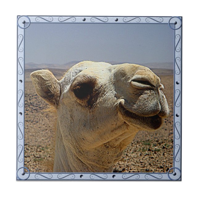 Camel Head Tile (Front)