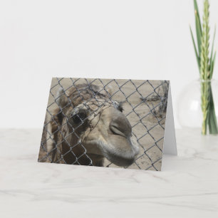Camel Hello card