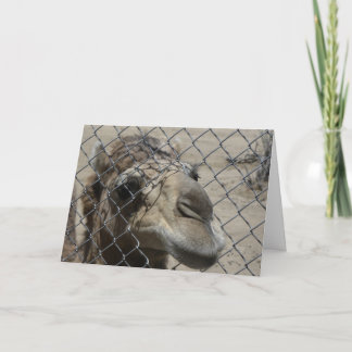 Camel Hello card