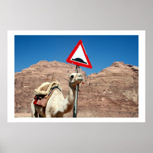 camel hump wadi rum poster