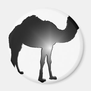 Camel illusion magnet