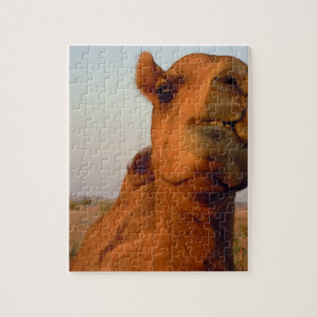 Camel in desert 2 jigsaw puzzle (Vertical)