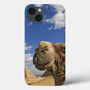 Camel in front of the pyramids of Giza, Egypt, iPhone 13 Case
