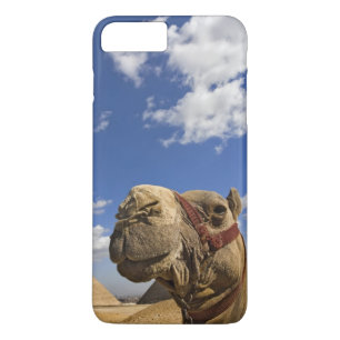 Camel in front of the pyramids of Giza, Egypt, Case-Mate iPhone Case