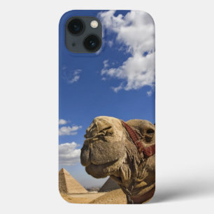 Camel in front of the pyramids of Giza, Egypt, iPhone 13 Case