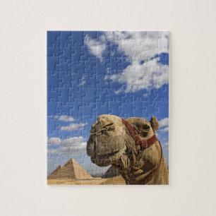 Camel in front of the pyramids of Giza, Egypt, Jigsaw Puzzle