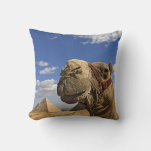 Camel in front of the pyramids of Giza, Egypt, Throw Pillow