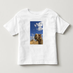 Camel in front of the pyramids of Giza, Egypt, Toddler T-shirt