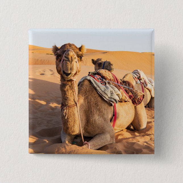 Camel in Oman desert 2 Inch Square Button (Front)