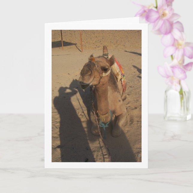 Camel in Photoshoot Card (Orchid)