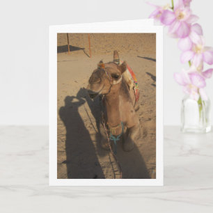 Camel in Photoshoot Card