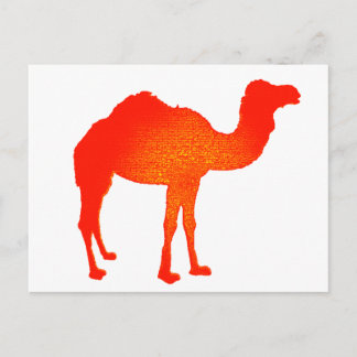 Camel in Red Postcard
