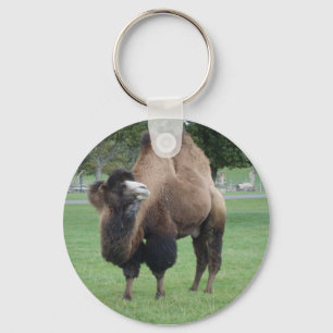 camel keychain