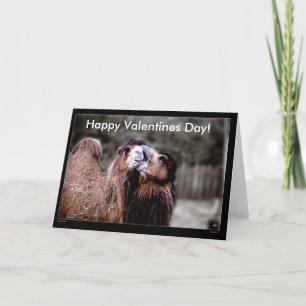 Camel Kiss - Valentines Day Card