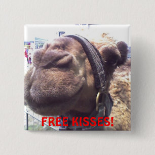 Camel Kisses 2 Inch Square Button