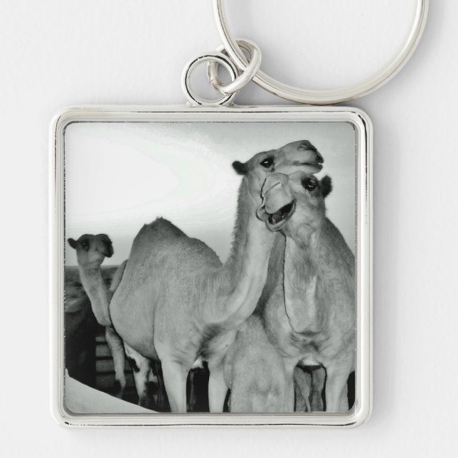 Camel Love Keychain (Front)