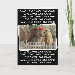 Camel LOVE - NO BOUNDARIES Card