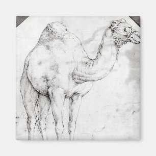 Camel Magnet
