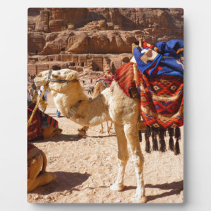 Camel Middle East Nature Animals Destiny Gifts Plaque