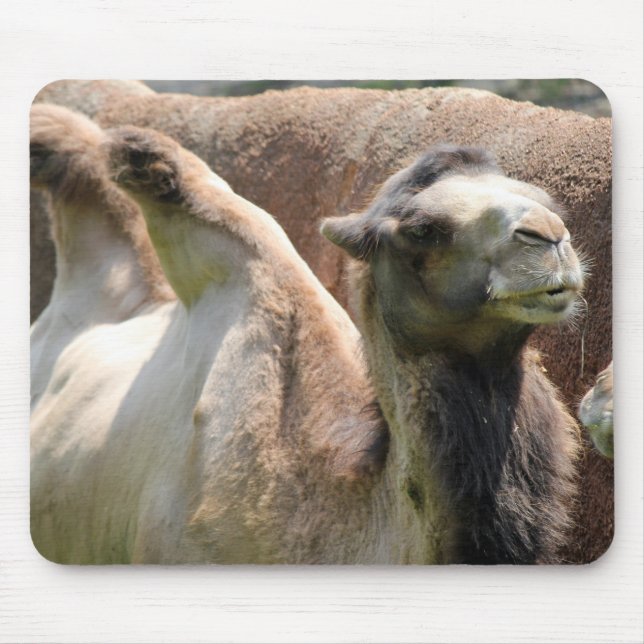 Camel Mouse Pad (Front)