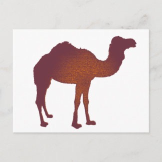 CAMEL of ARABIA Postcard