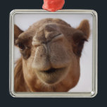 Camel Ornament<br><div class="desc">Camel photo design ornament.</div>