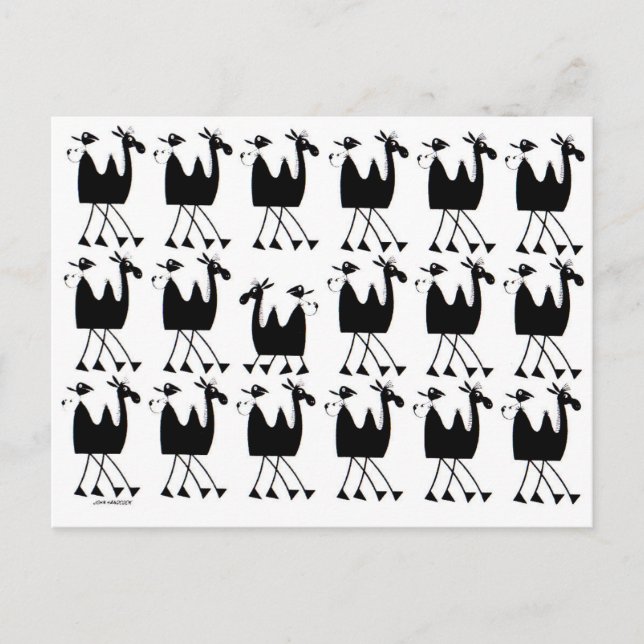 Camel Parade Postcard (Front)