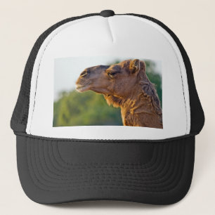 Camel Portrait Trucker Hat