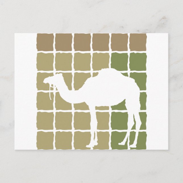 Camel Postcard (Front)