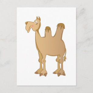 Camel Postcard