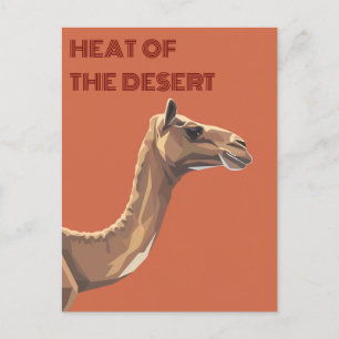 Camel Postcard
