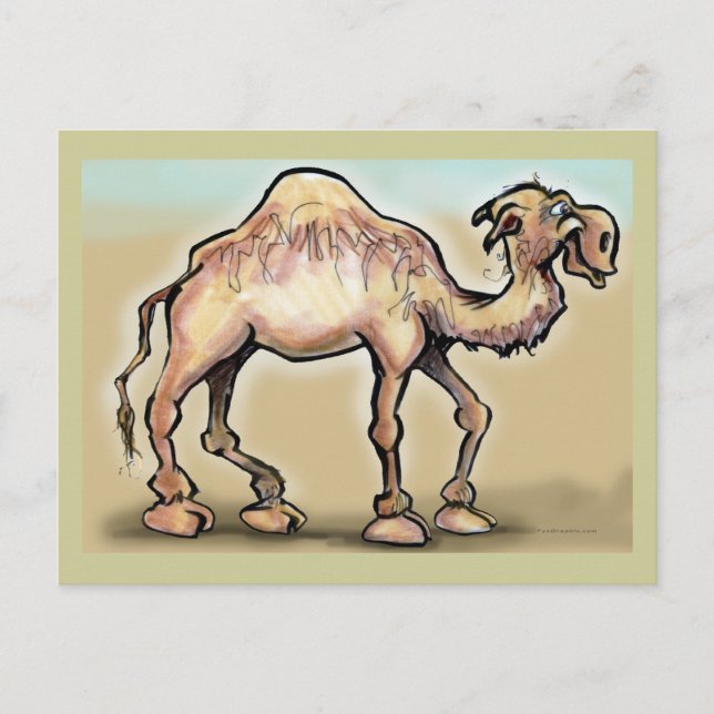 Camel Postcard (Front)