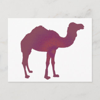 Camel Prestige Postcard