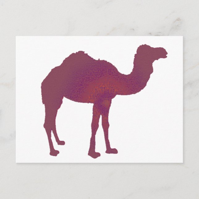 Camel Prestige Postcard (Front)
