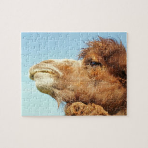 Camel - Puzzle