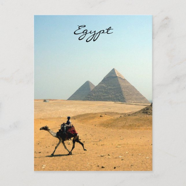 camel pyramid postcard (Front)