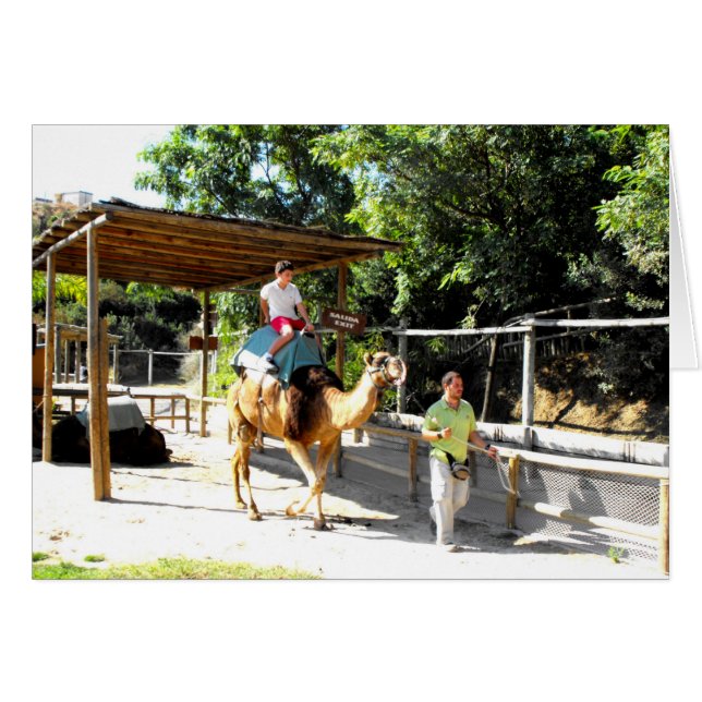 Camel ride card (Front Horizontal)