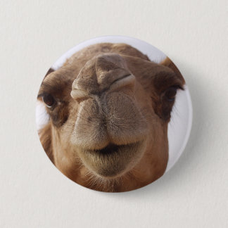 Camel Round Pin