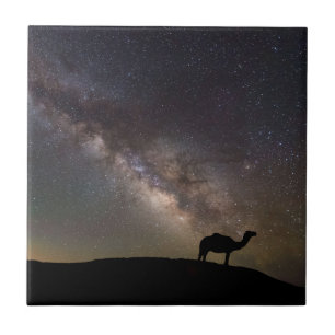 Camel Silhouette and Milkyway Tile