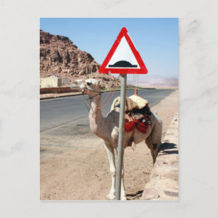 camel speed hump sign postcard