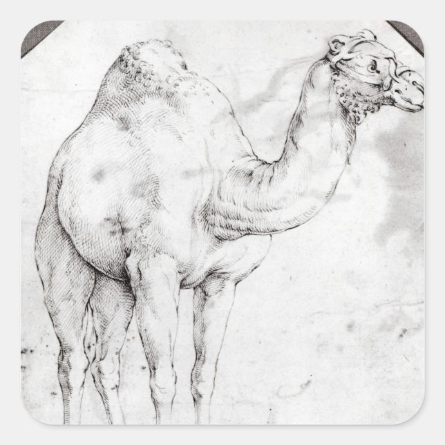 Camel Square Sticker (Front)