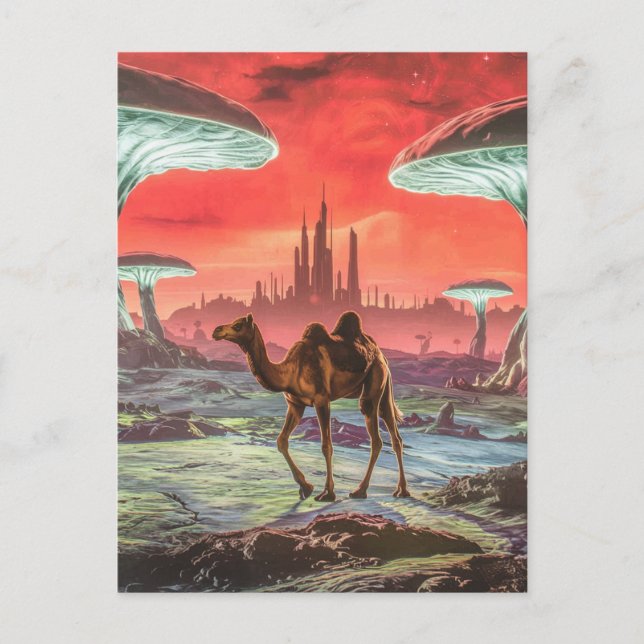 Camel sur une autre carte postale (Devant)