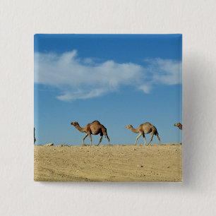 Camel train 2 inch square button